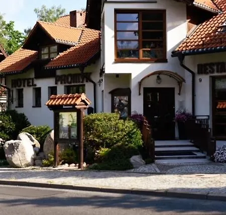 Отель Promyk Wellness & Карпач