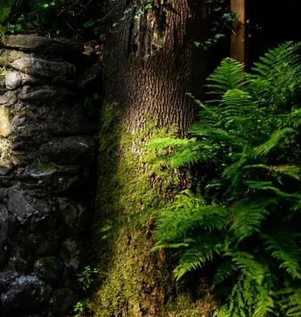 Отель Promyk Wellness &