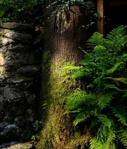 Hotell Promyk Wellness &