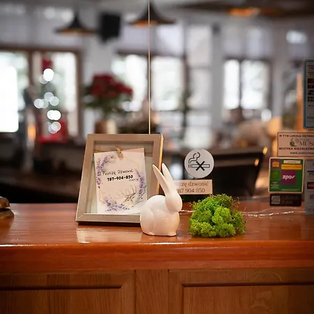 Promyk Wellness & Karpacz