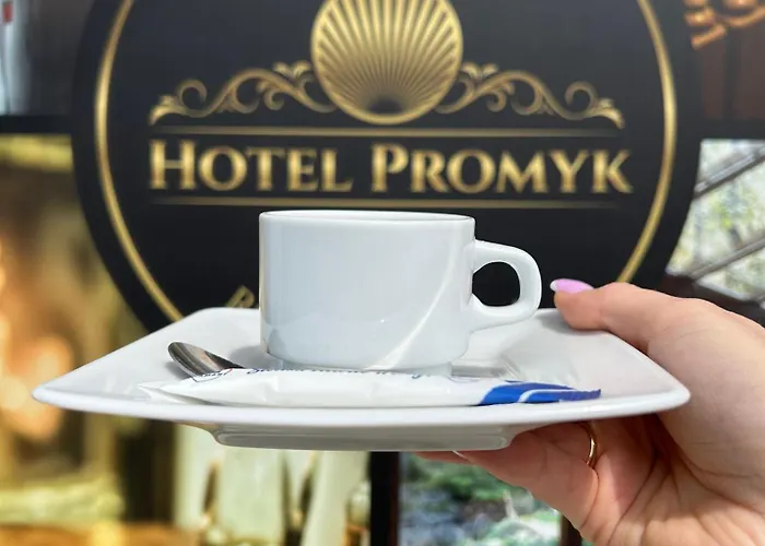 Promyk Wellness & Hotel 3*