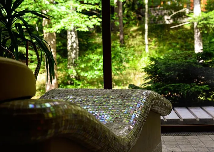 Promyk Wellness & 3* Karpacz