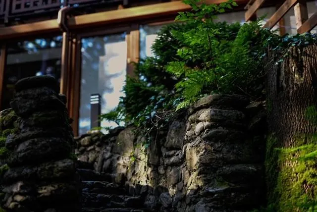 Promyk Wellness & 3* קרפאז'